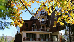 Sinaia Villa Oblique